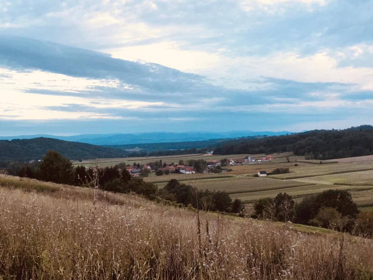 Landvilla Sinelia Premium Dietersdorf am Gnasbach Exteriér fotografie