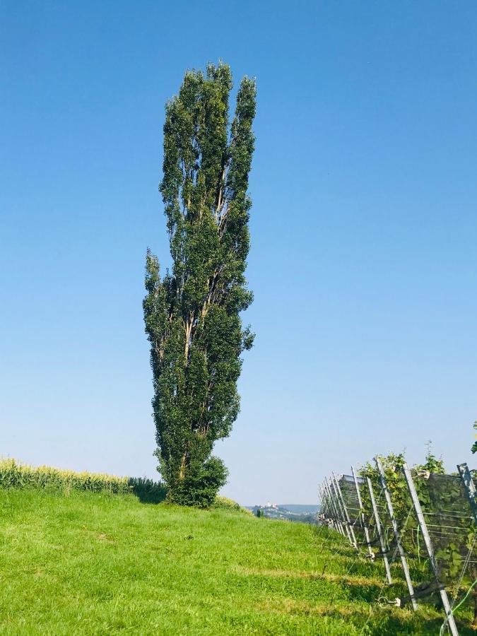 Landvilla Sinelia Premium Dietersdorf am Gnasbach Exteriér fotografie